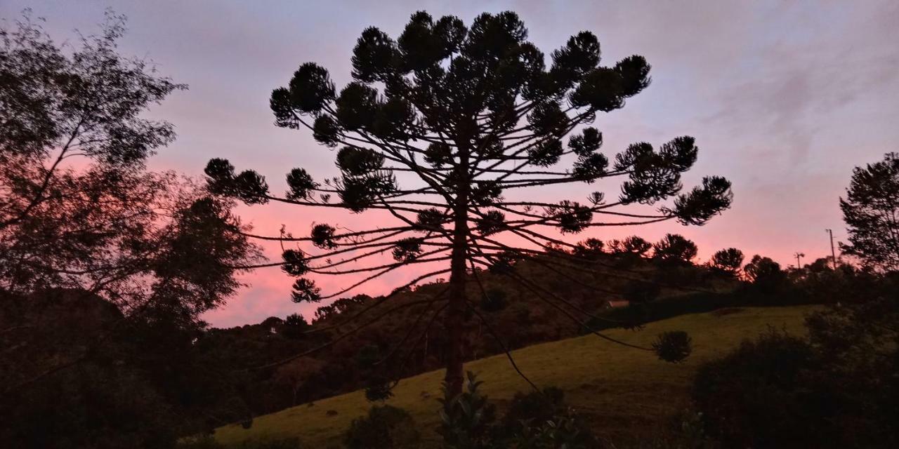 Pousada Recanto Da Vitoria Гонсалвис Экстерьер фото